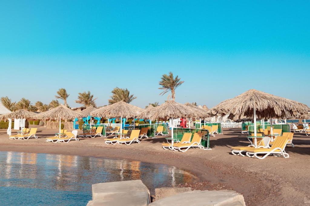 فندق ليمون اند صول مكادي الغردقة - Lemon & Soul Makadi Hotel Hurghada